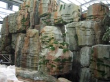 宁波生态园塑石假山