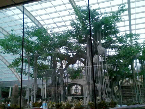 杭州假树.jpg